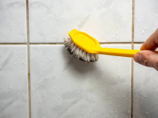 Best Mold Removal Company Near Me  in Mountain Lodge Park, NY