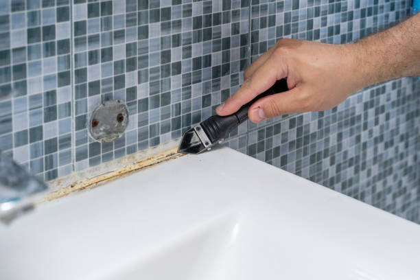 Best Emergency Mold Removal  in Mountain Lodge Park, NY
